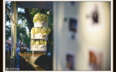חתונה בטבע עם עוגת חתונה